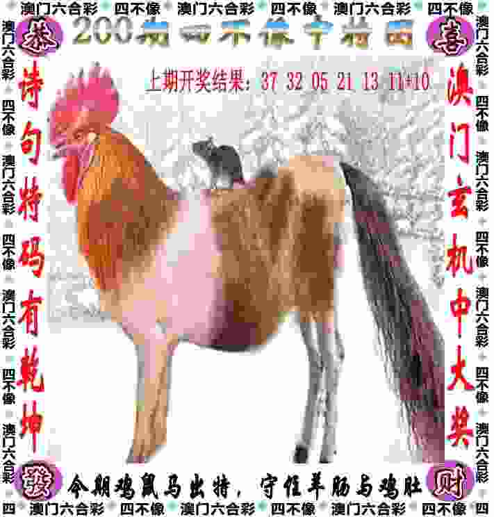 中国代表团总结巴黎奥运参赛整体情况：创境外参赛历史最好成绩，“突破”成为最明显特点
